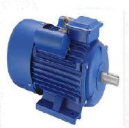single phase induction motor