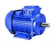3-Phase Induction Motor